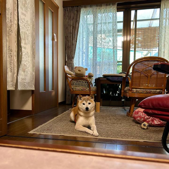 2341a278 2265 4403 9401 a924ea48cbbc 1755601051243