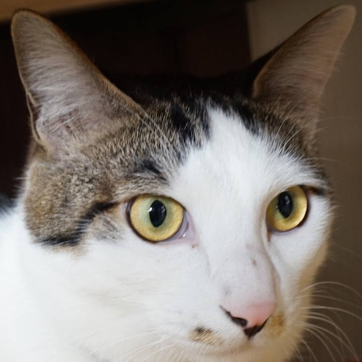 2341a289 e259 47c0 ab34 76f656769a24 1522763561867