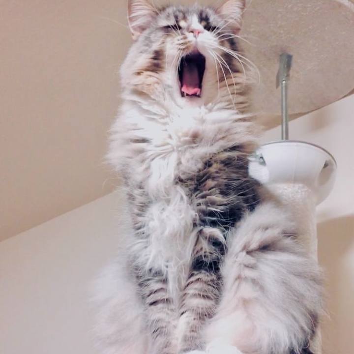 2341a405 15d3 48ba b05a f195d3e5bd72 1720022099553