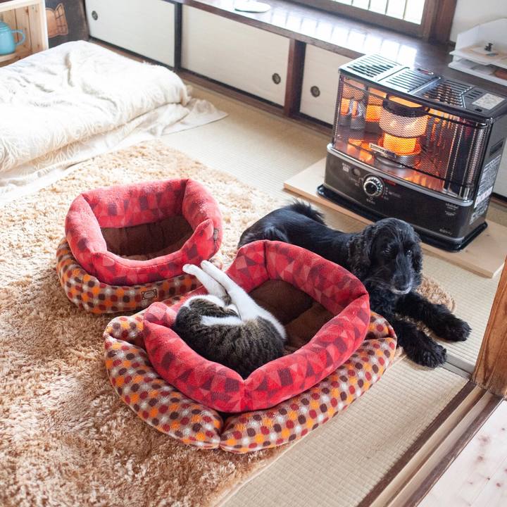 2341bf52 8452 4501 9a6d 7fc159e36921 1577677498471