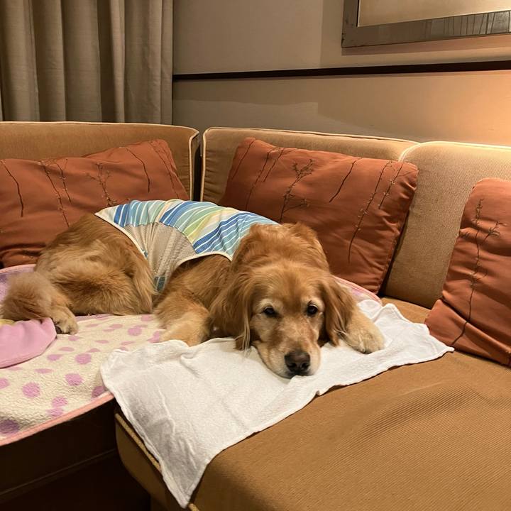 2341bf6b feba 4f35 872c 1b5ca1056d95 1716959090087