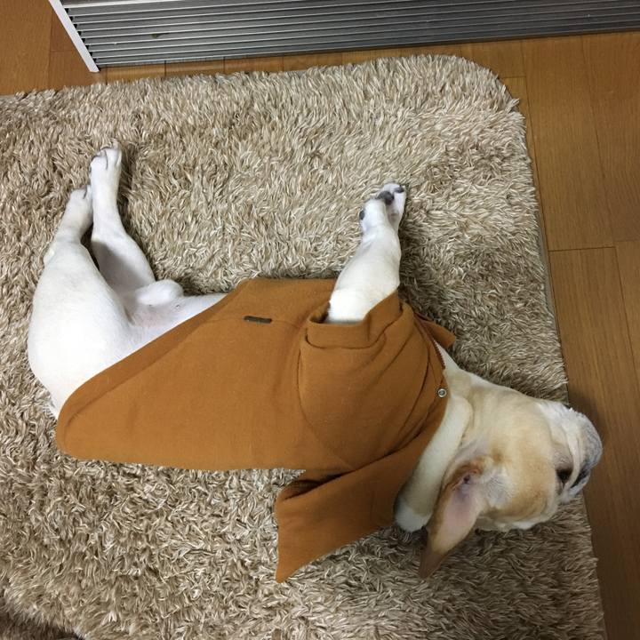 2341c504 c00f 4594 8f06 0d163e05fc60 1513158067636