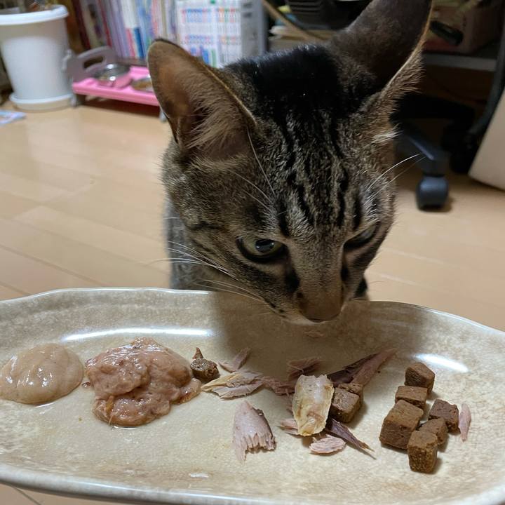 2341c6fb f8a5 4e0f 9123 48d1c4e9ef8b 1625742681770