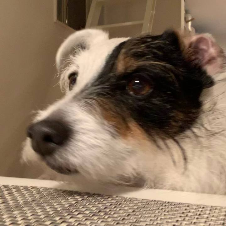 2341e635 09bf 4ad6 ad6c e38ff163ccce 1619431795270