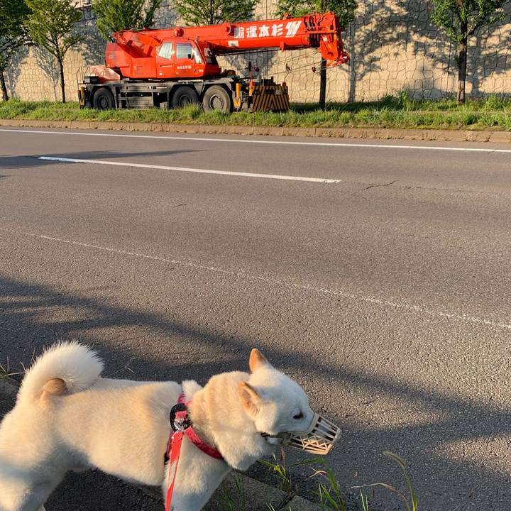 23421505 7039 4c8c 987f 5b7114abac22 1567375291282