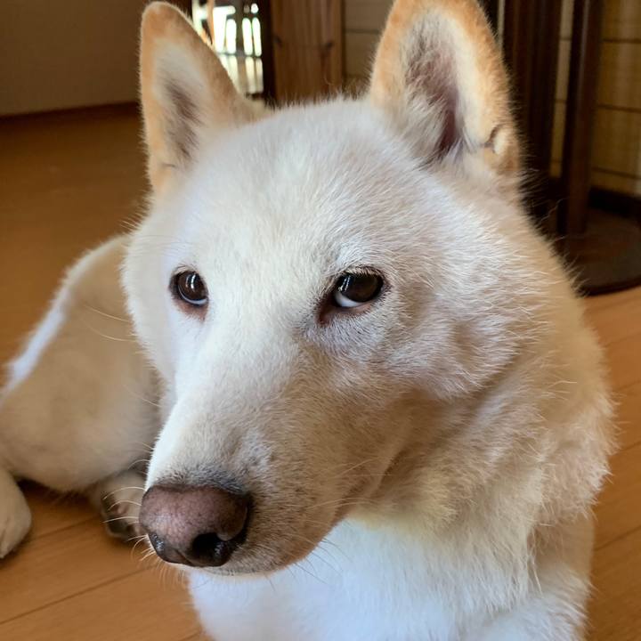 23421fec 32d1 4dff 82a4 48896cc87036 1563829455531