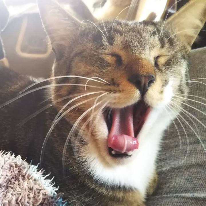 23422678 5f20 44e3 81b6 a467ea2bf9d1 1607865265627