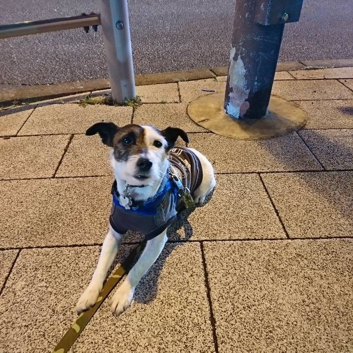 234261eb 9824 4dbb 9cff 2c480e07de5c 1520337333354