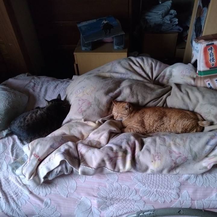 23426b01 3530 4498 ae3b 8dfaef07262c 1685658564130