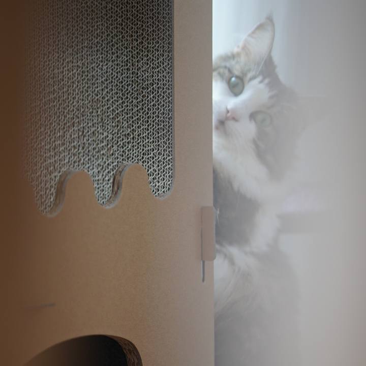 2342950c 58d7 4a42 8d03 bf29e628415f 1569373294982