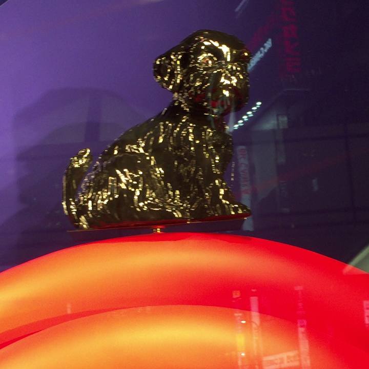 2342f821 4a38 44ff 9d4d f2df38a4e152 1519297250042