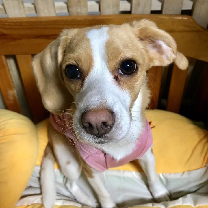 23430255 d3ee 4f96 b117 d26be75ffe1a 1525915474081