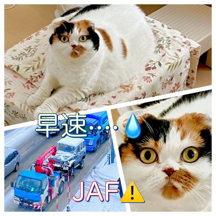 23430366 60cd 440a bdad a1cc0ed3858b 1669852316044