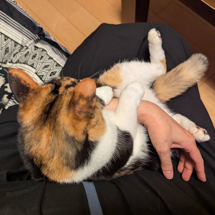 23431752 b9a7 4200 8975 9946aa30f536 1751867396858