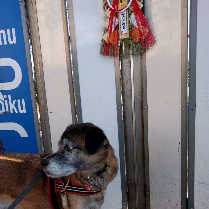 234329e8 b384 4f35 bb7f c28d269c9cc8 1514510840802