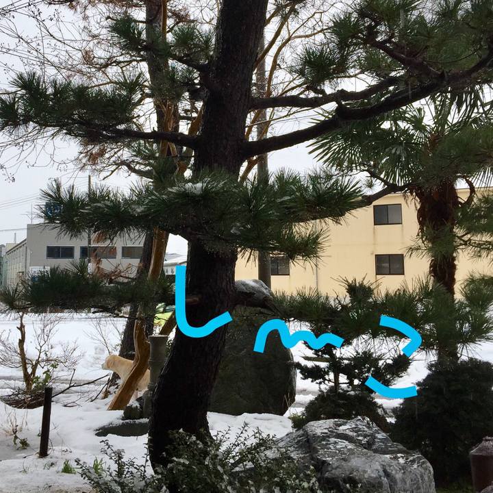 234335fd 69d7 41f7 9ecd 3aeb3a5fa9f4 1515568387605