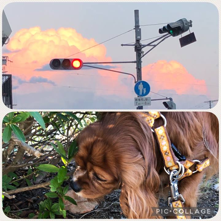 23433e87 b27f 44fa b7ca f9482a95ac54 1613389429324