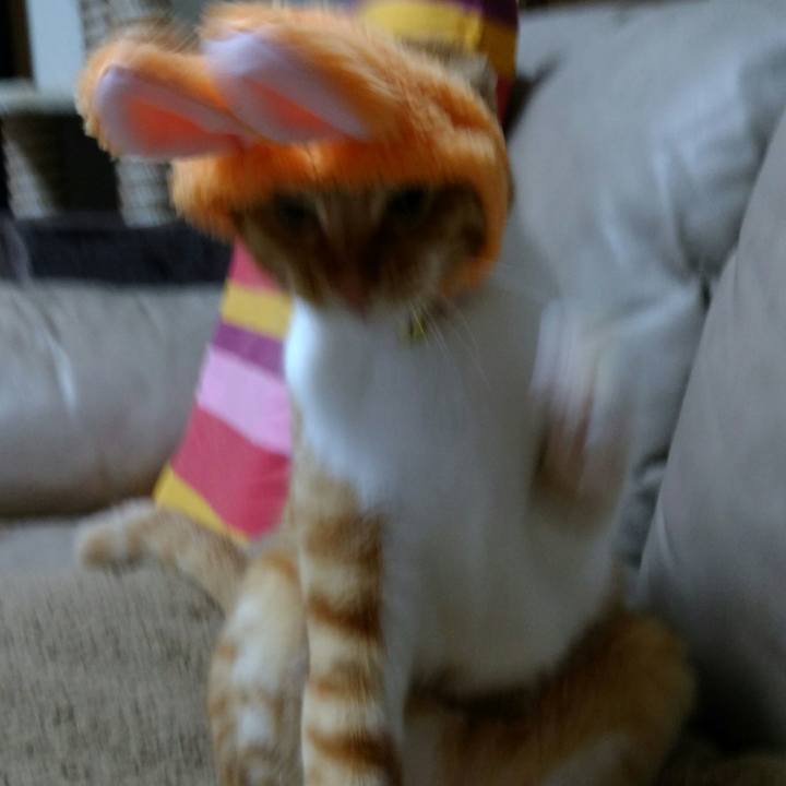 23434ad6 38f6 40ef 924f 3b2de3a4bf02 1568689769670