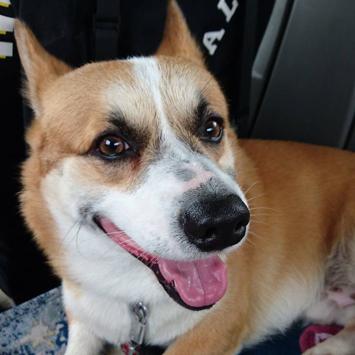 23436403 dce3 4613 b34a 58a84c7560a3 1618625728022