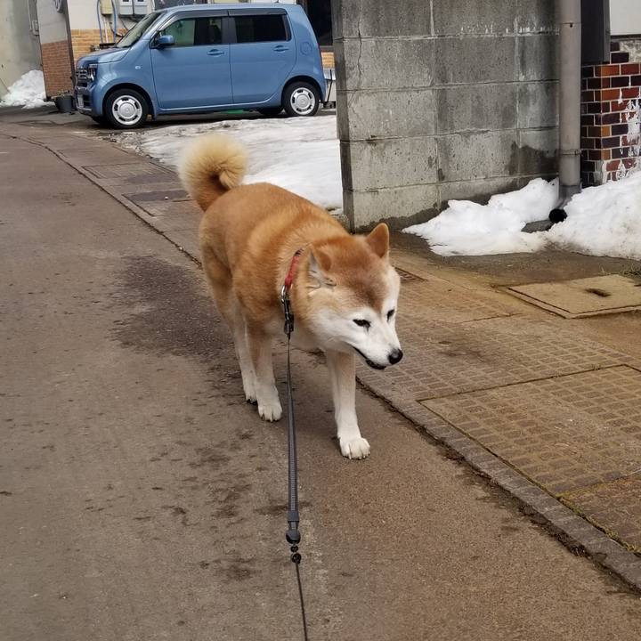 23437fd8 4214 4ce5 b368 9a14bbc414c0 1740888095142