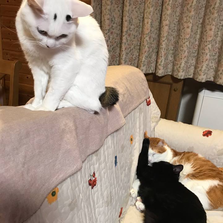 2343863f 955a 4091 9e73 ffd3ea80c5f4 1576940427762