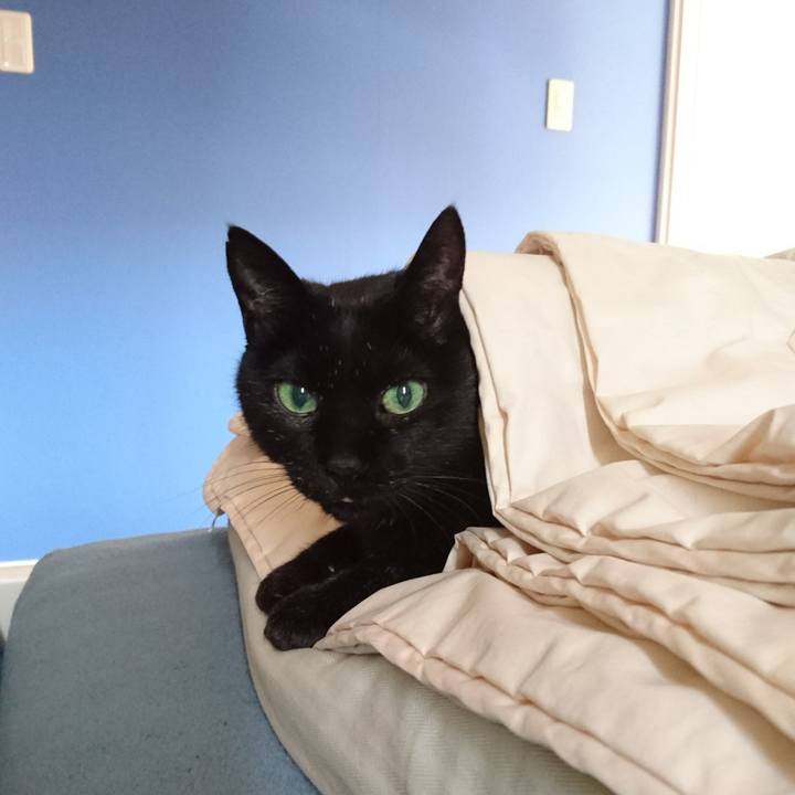 2343a868 fb2f 4155 a61c d154e2d3d561 1555743459216