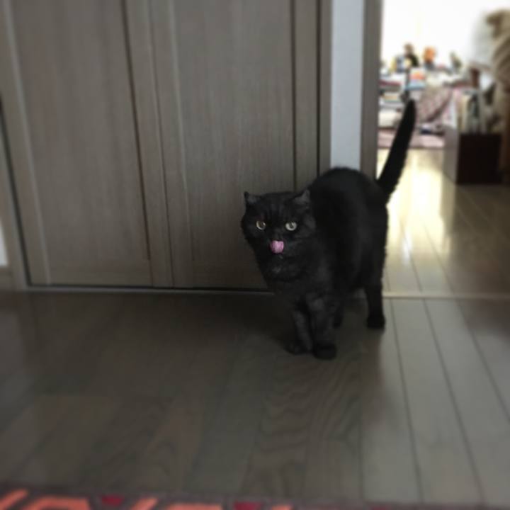 2343a8a8 d5e2 4595 8997 f0cd3b800cf6 1576982538910