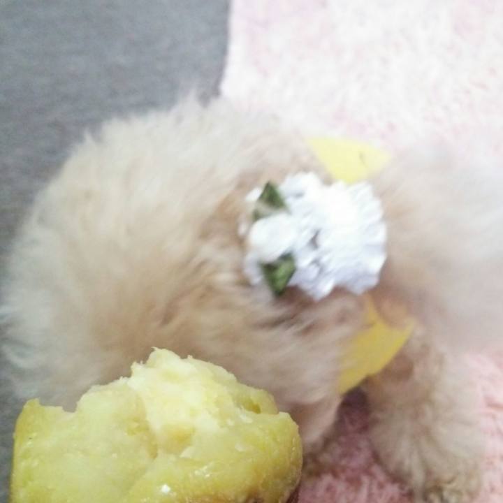 2343d5da e3d2 47e9 be70 f37e9677da4c 1543652161391