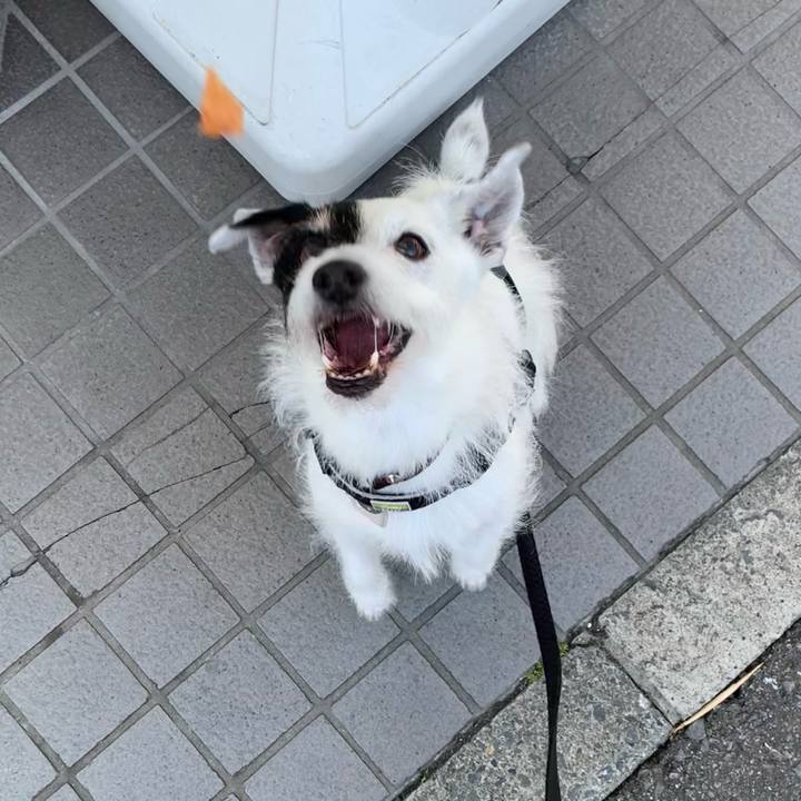 2343dbba 52d3 4798 ae5d ae557a4c4541 1716968505005