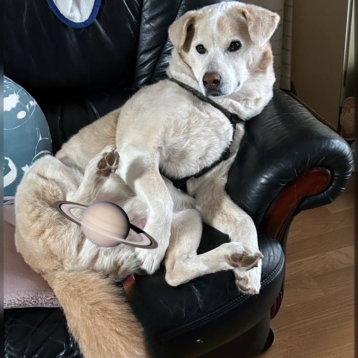 2343f8e7 3518 4484 ad3d 23f5ab20d89a 1702684069809