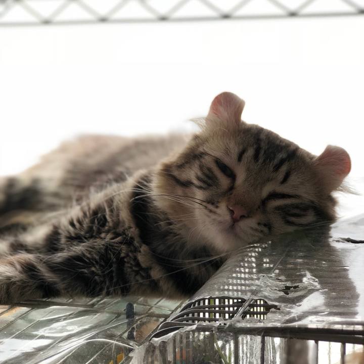 2343fd17 281e 45ff b207 d17b107fb378 1520910626582