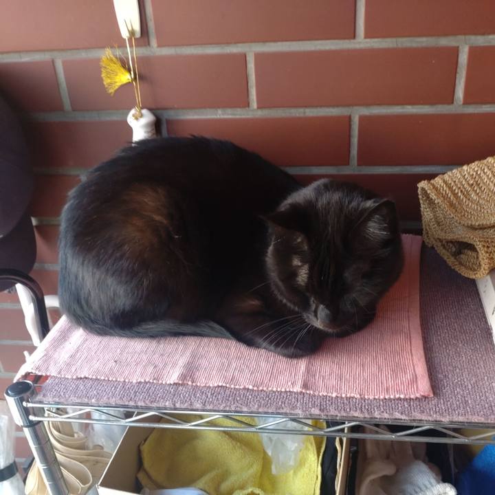 234412df 8042 4023 9b70 b2fe0e6a25ed 1726705565147