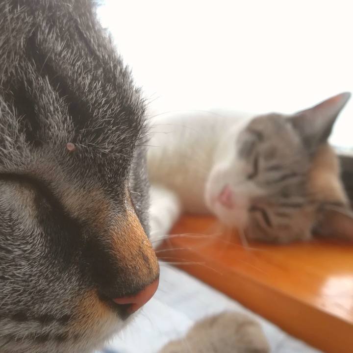 2344312f 4795 486a b813 e80816dfea1e 1595464678281