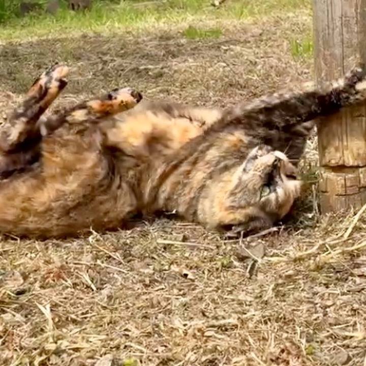 234446ed bc39 4416 85e0 9ce41626dd2f 1774621955368