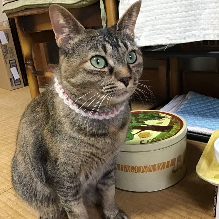 234451d2 7249 4a87 83ea da35b98999e0 1654073581552