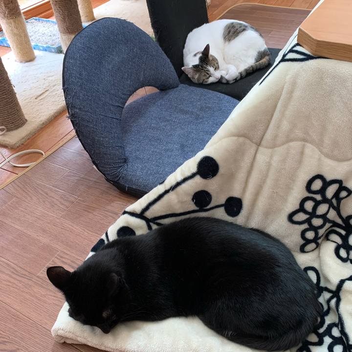 23445aa5 3593 40d4 bb59 41bcf980f063 1587795917741