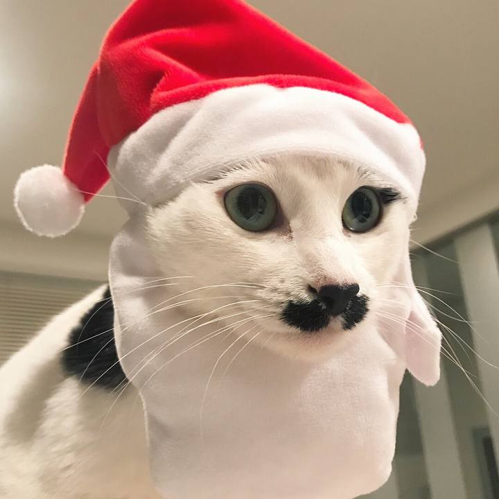 23446732 0035 4934 97e4 89fe984baf87 1514164276389