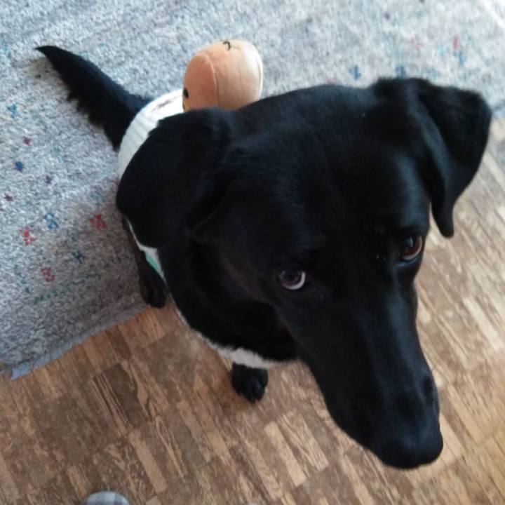 234471d2 111f 4cba b705 662093264b8f 1575633593542