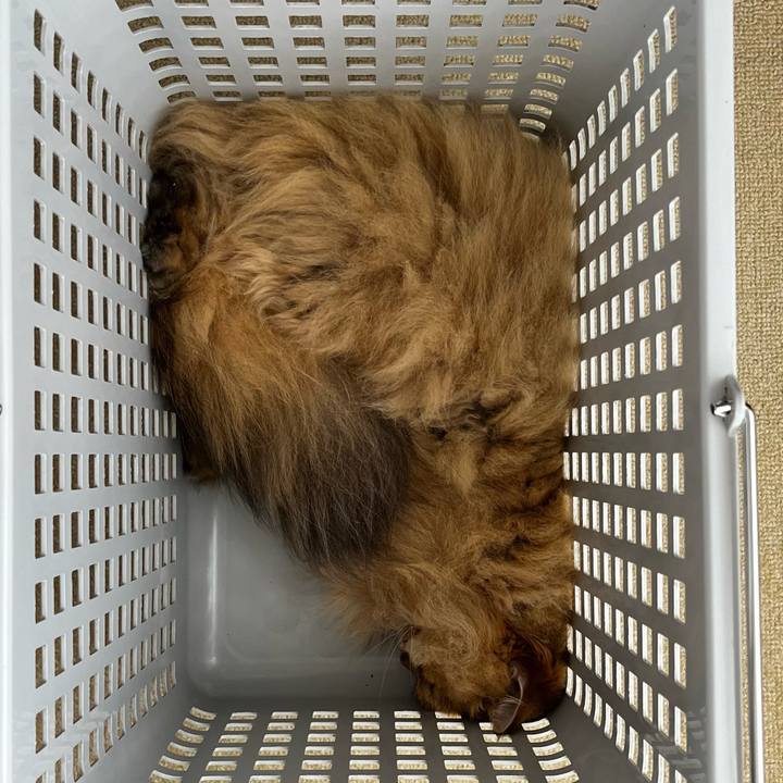 2344c85b d14f 445d 82cc aad014cf525b 1687913783368