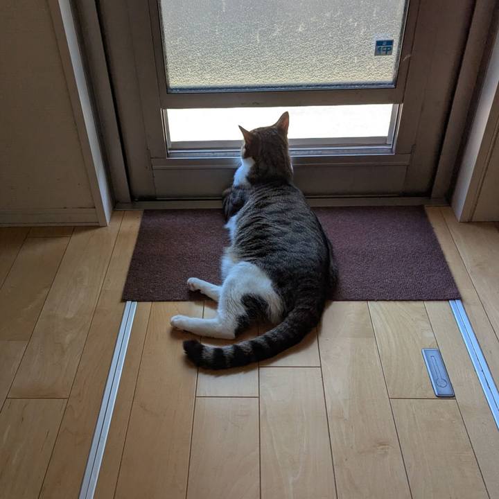 2344de77 625f 455d 851e 23e4a92dd5dc 1755673913405