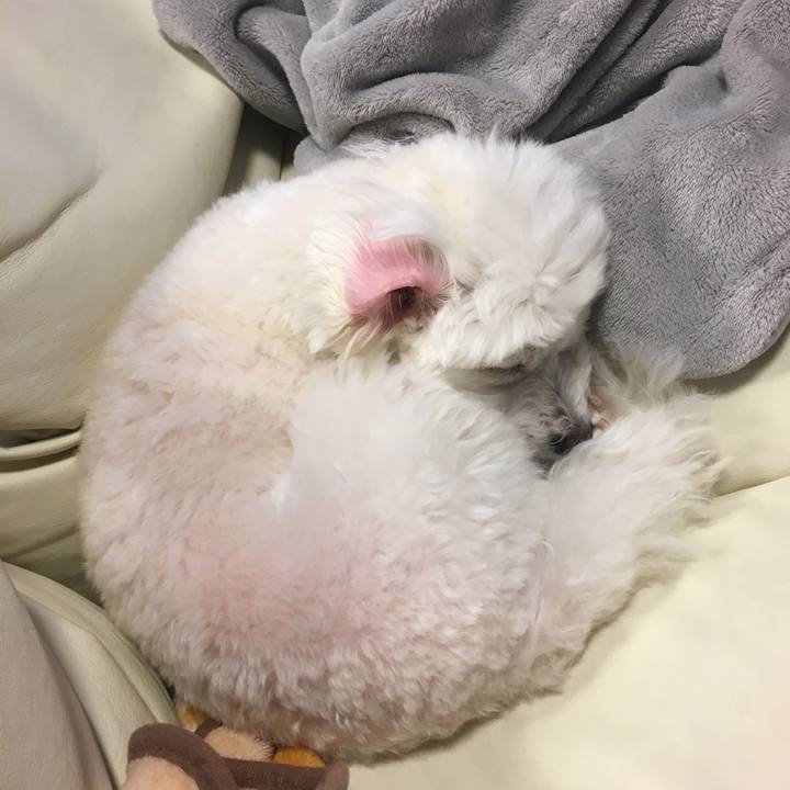 2344e6b7 bfb1 47c6 b3d4 0d1008510623 1586247016783