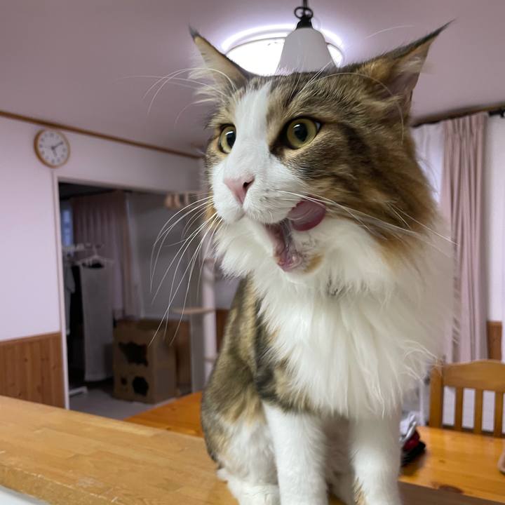 2344ef05 7893 475b 8d0e 942bc0e24809 1662322412583