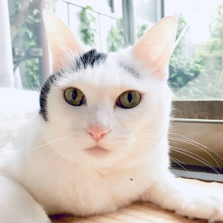 2344fb1e c8ec 4d24 9be6 bb36efb4ac81 1560912707276