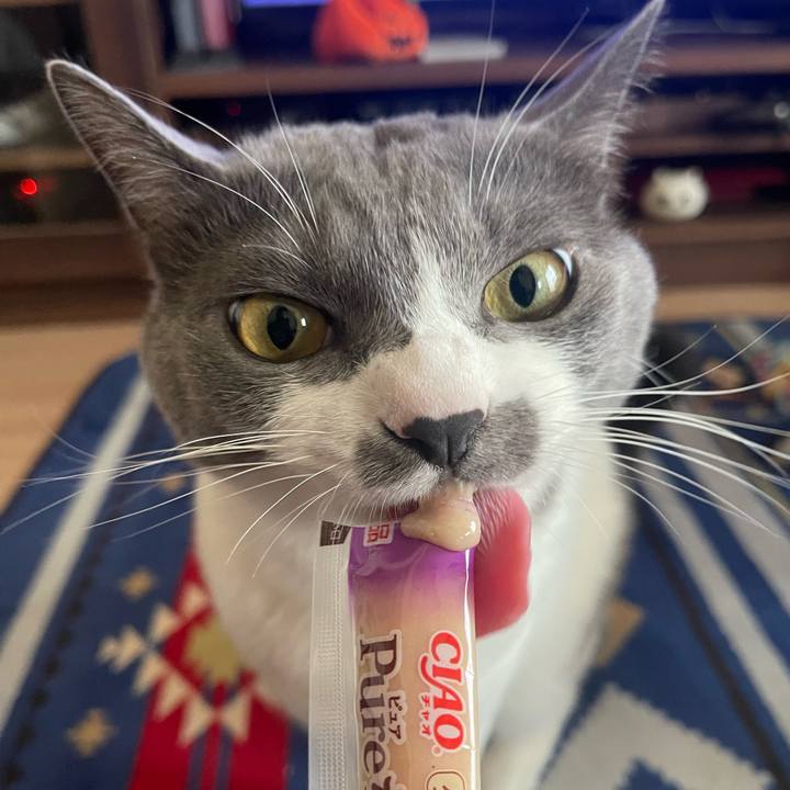 2345081f 07e8 4f92 99b7 f91e034c3d11 1665471183786