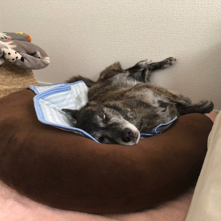 23452bfc c13a 42b2 9f20 9b489ef05d6b 1691448439798