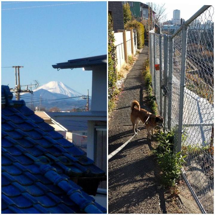 23458777 9e21 4135 b1b2 5f18c2f2d7ad 1546045317585