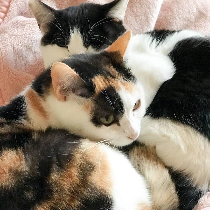 23459f1d 5c9e 43d4 8adf 150cd4bf58e7 1511963939237