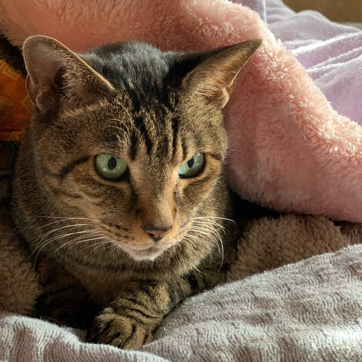 2345b588 23d3 46a4 ade4 f1beee80a49b 1579224346553