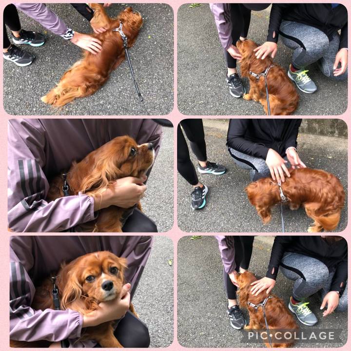 2345c16d 21f3 417d ae0d 96c8d67d3b57 1619916077757