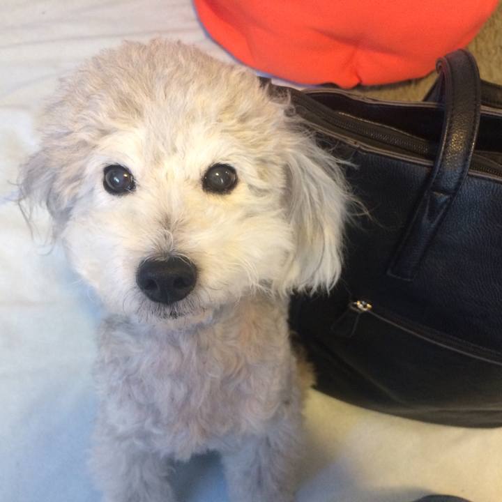 2345cdf2 364f 4bf9 83ca 4e5f05297b66 1516923076327